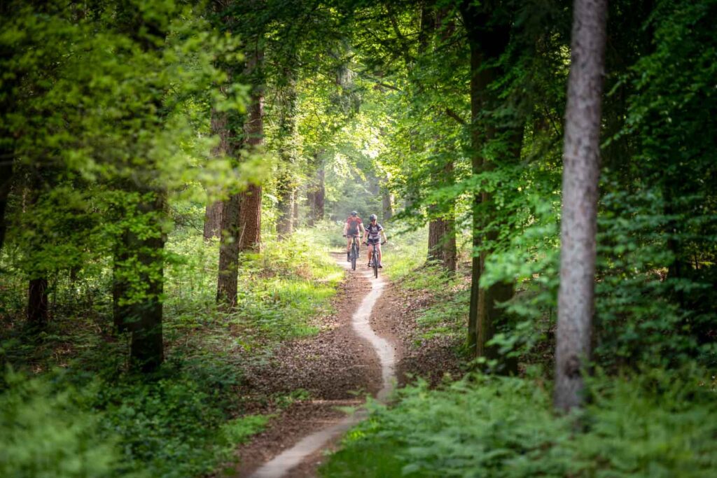 GravelRoute_Ruurlo_DeHeikamp